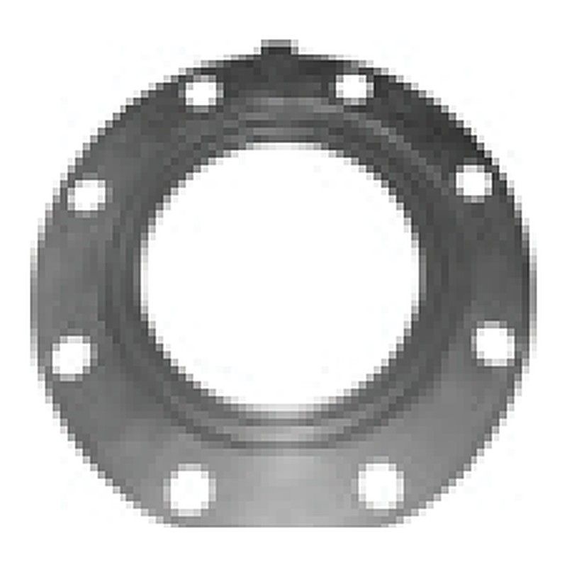 Peabody Engineering flange gasket