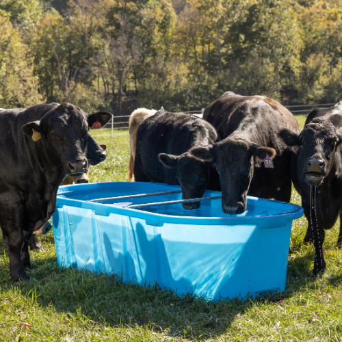 300 Gallon Behlen Country 3' x 2' x 8 Farm Flex Oval Stock Tank  (MPN: 52112187)