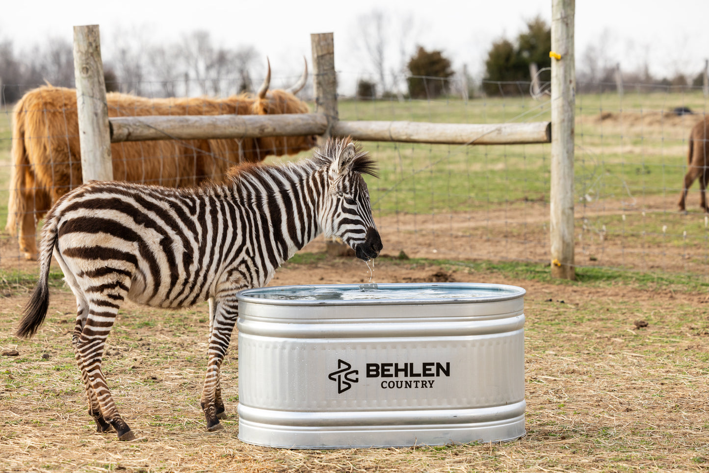 100 Gallon Behlen Country 2' x 2' x 4' Farmstead Oval Galvanized Tank (MPN: 50130028)