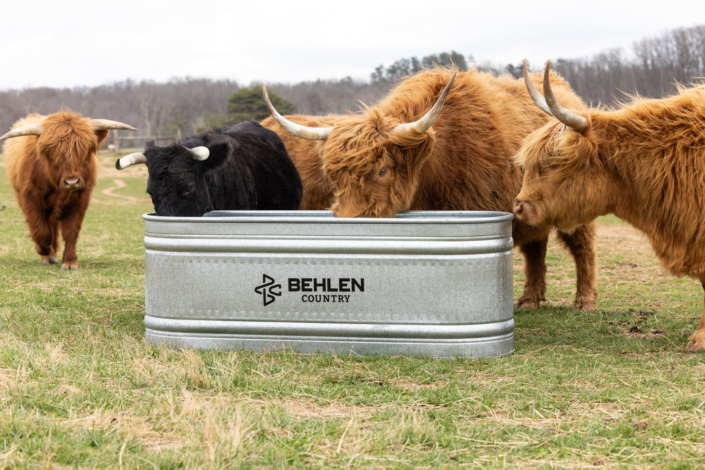 165 Gallon Behlen Country 2' x 2' x 6' Farmstead Oval Galvanized Tank (MPN: 50130048)