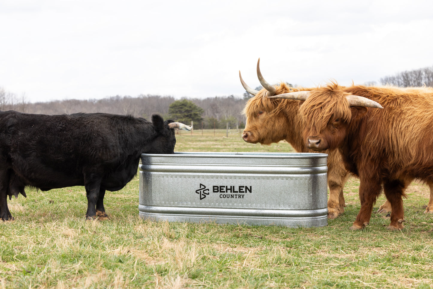 165 Gallon Behlen Country 2' x 2' x 6' Farmstead Oval Galvanized Tank (MPN: 50130048)