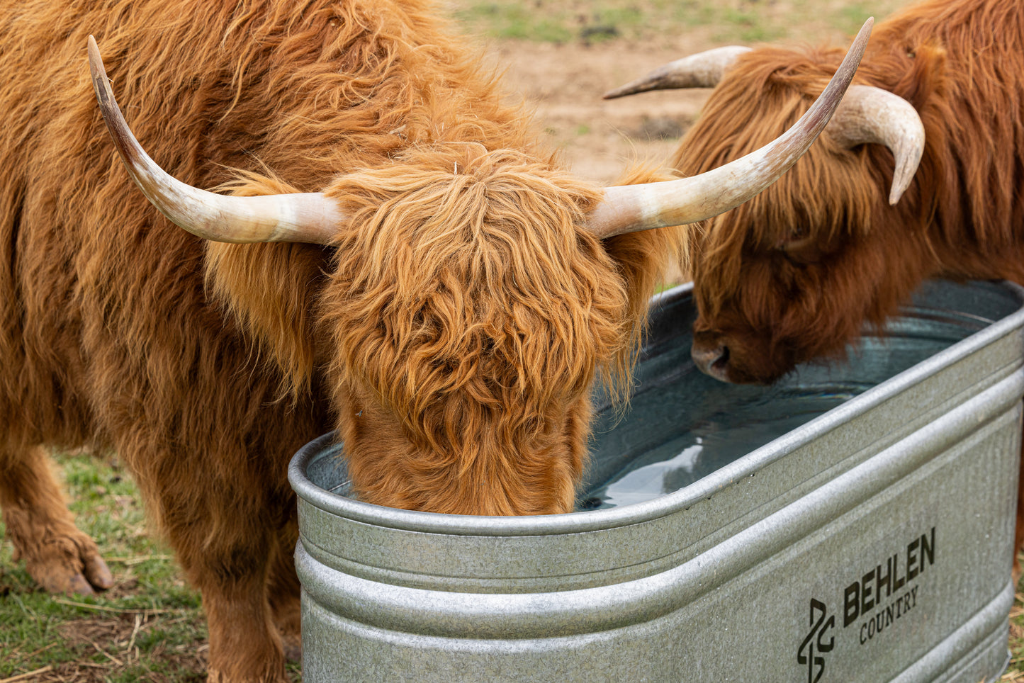 165 Gallon Behlen Country 2' x 2' x 6' Farmstead Oval Galvanized Tank (MPN: 50130048)