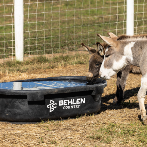 60 Gallon Behlen Country Rigid Poly Stock Tank  (MPN: 52120605)