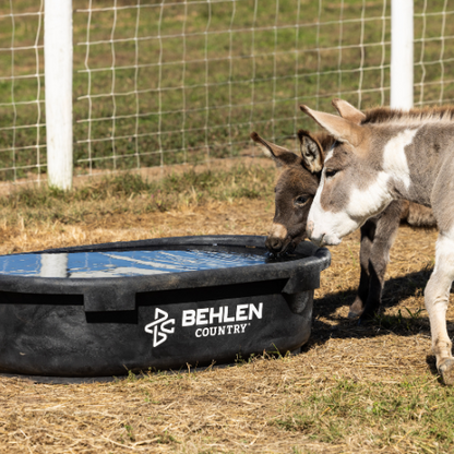 60 Gallon Behlen Country Rigid Poly Stock Tank  (MPN: 52120605)