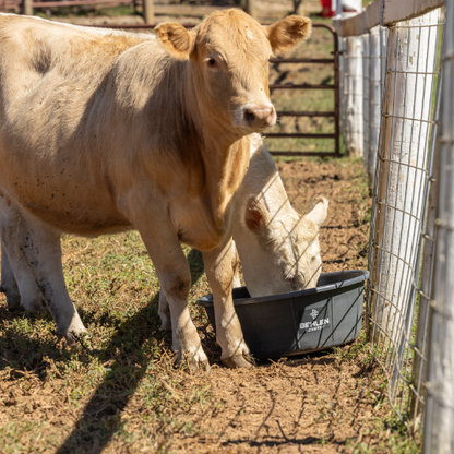 14 Gallon Behlen Country W/H 26" x 9" Poly Round Tub (MPN: 28107908)