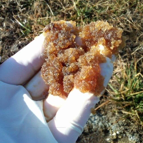 ENPAC 14"x21" Pillows, PetroGuard, 5 Per Case,  (MPN: ENP PG1421)