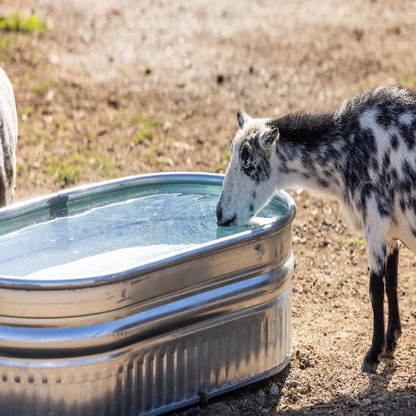 40 Gallon Behlen Country 2' x 1' x 4' Shallow Farmstead Oval Galvanized Tank (MPN: 50130198)