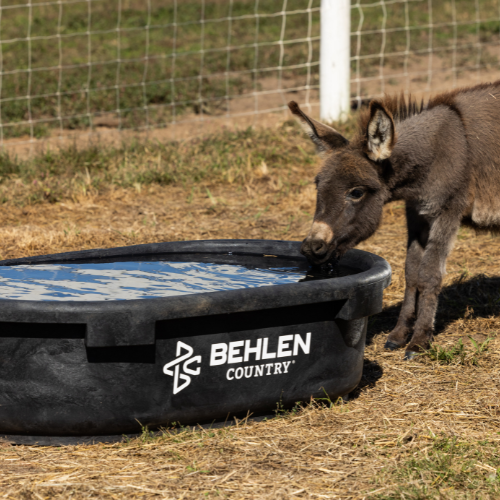 60 Gallon Behlen Country Rigid Poly Stock Tank  (MPN: 52120605)