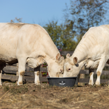 14 Gallon Behlen Country W/H 26" x 9" Poly Round Tub (MPN: 28107908)