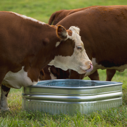 60 gallon Behlen Country 34" x 34" x 12" Shallow Farmstead Square Stock Galvanized Tanks (MPN: 50140078)
