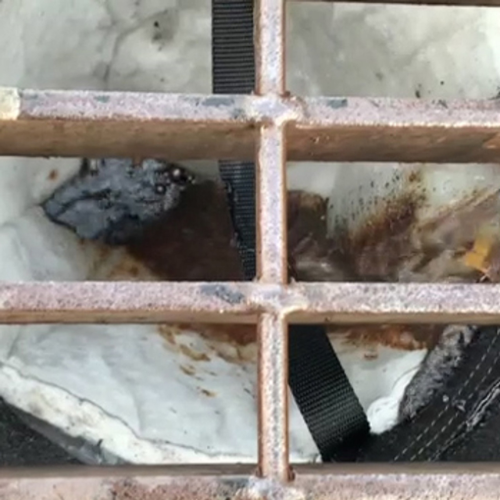 ENPAC Oil-Absorbing Spilltration Cone Insert for Storm Sentinels®, Case of 5(MPN: ENP-OILCONE-BX5)