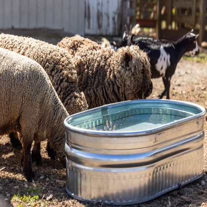 40 Gallon Behlen Country 2' x 1' x 4' Shallow Farmstead Oval Galvanized Tank (MPN: 50130198)