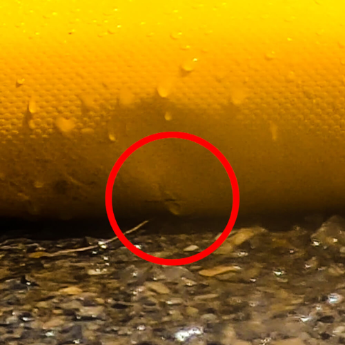 ENPAC 2'x4'x3" Filter Spill Pad (MPN: 5605-YE)