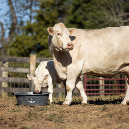 14 Gallon Behlen Country W/H 26" x 9" Poly Round Tub (MPN: 28107908)