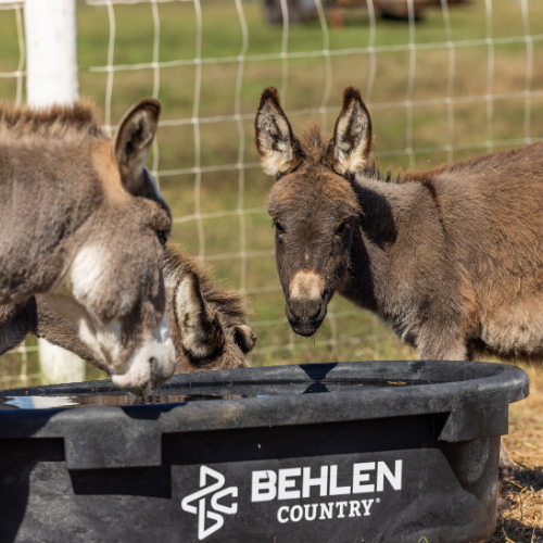 60 Gallon Behlen Country Rigid Poly Stock Tank  (MPN: 52120605)