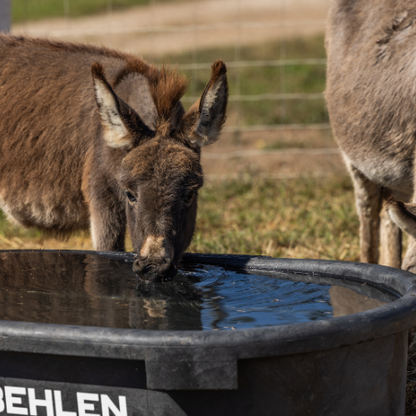 60 Gallon Behlen Country Rigid Poly Stock Tank  (MPN: 52120605)