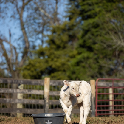 14 Gallon Behlen Country W/H 26" x 9" Poly Round Tub (MPN: 28107908)