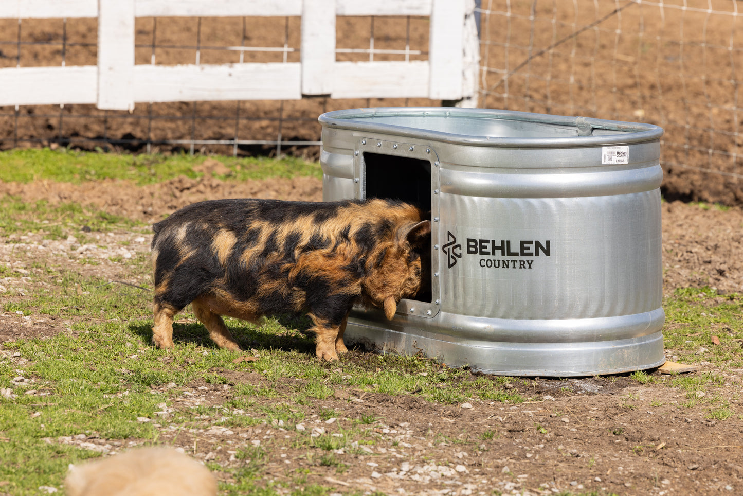 100 Gallon Behlen Country Farmstead Galvanized Waterer W/Drinker (MPN: 501300281)