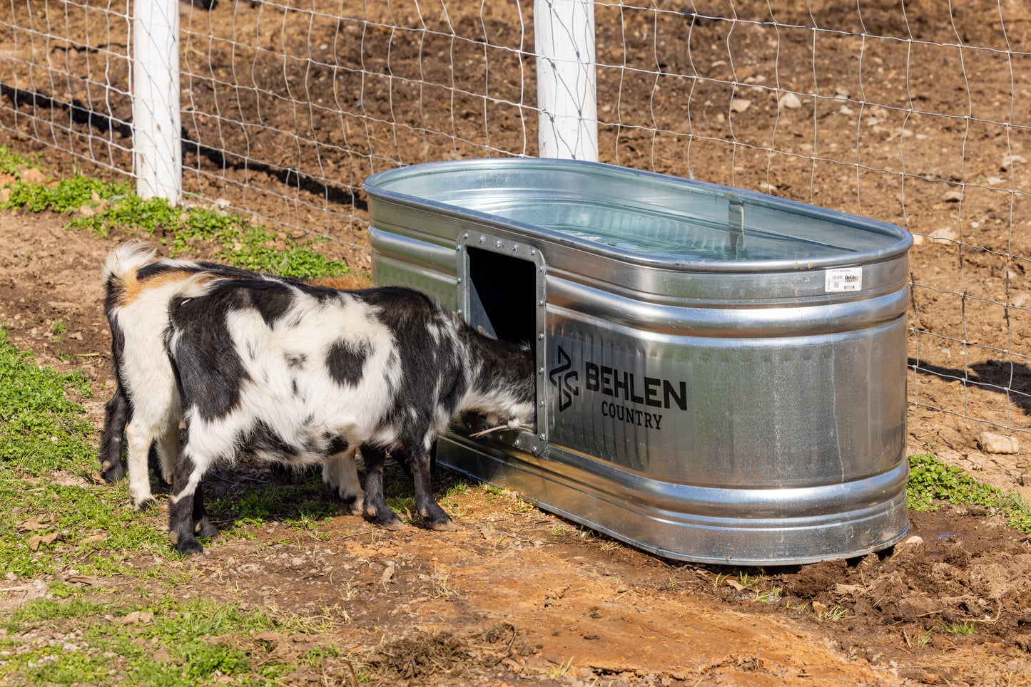100 Gallon Behlen Country Farmstead Galvanized Waterer W/Drinker (MPN: 501300281)