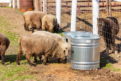 100 Gallon Behlen Country Farmstead Galvanized Waterer W/Drinker (MPN: 501300281)