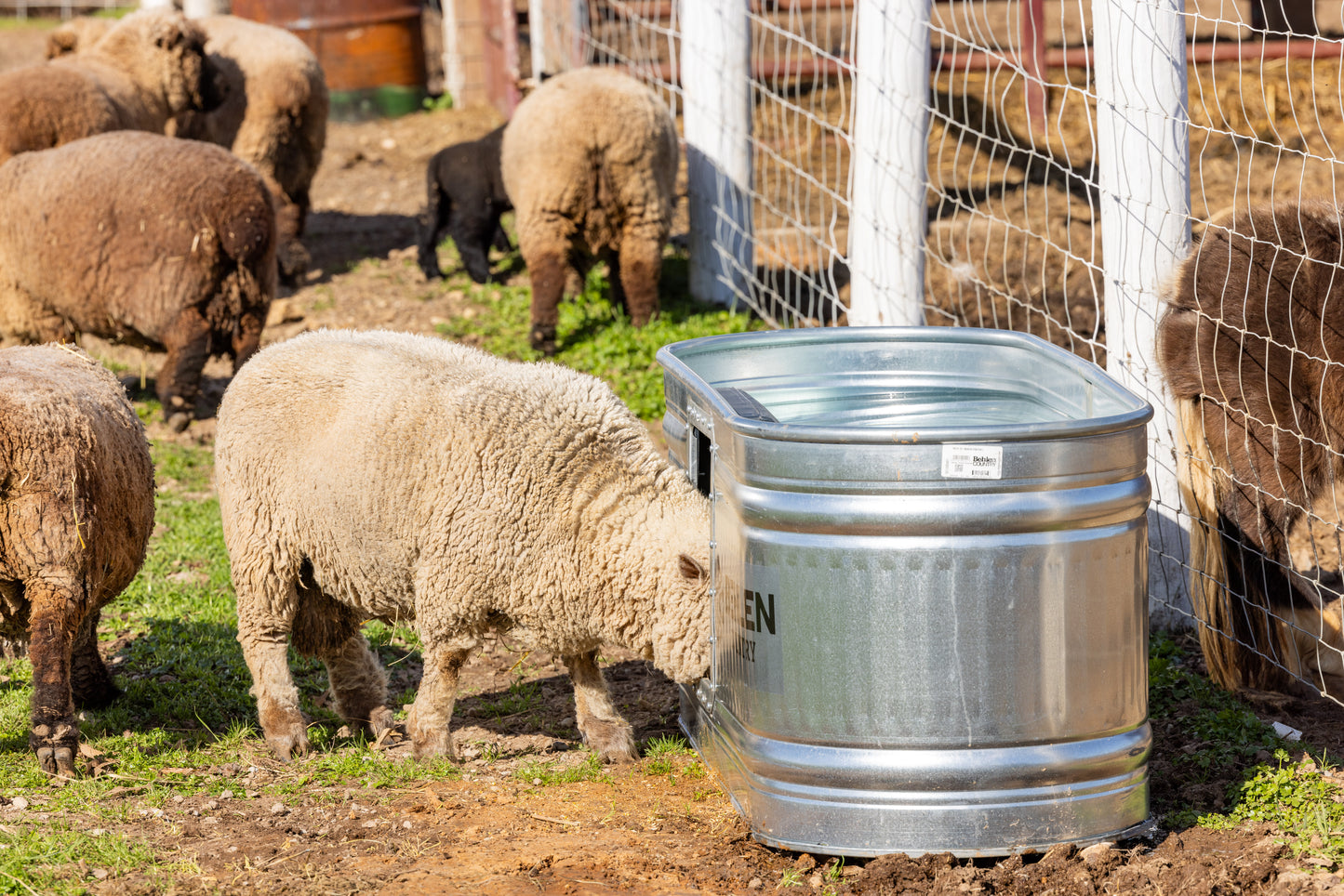 100 Gallon Behlen Country Farmstead Galvanized Waterer W/Drinker (MPN: 501300281)