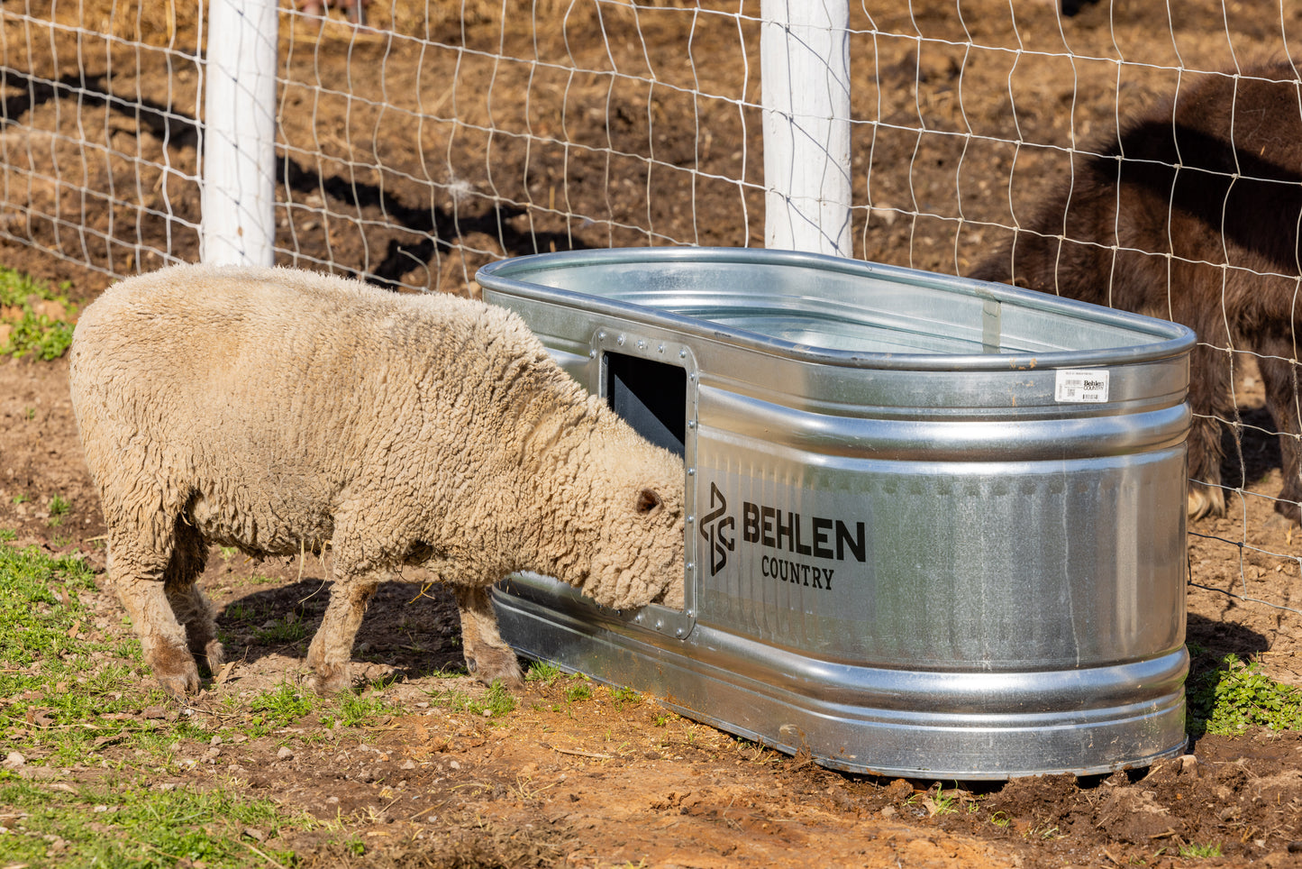 100 Gallon Behlen Country Farmstead Galvanized Waterer W/Drinker (MPN: 501300281)