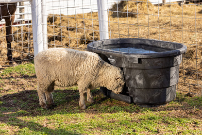 100 Gallon Behlen Country Rigid Poly Tank With Drinker (MPN: 52121015)