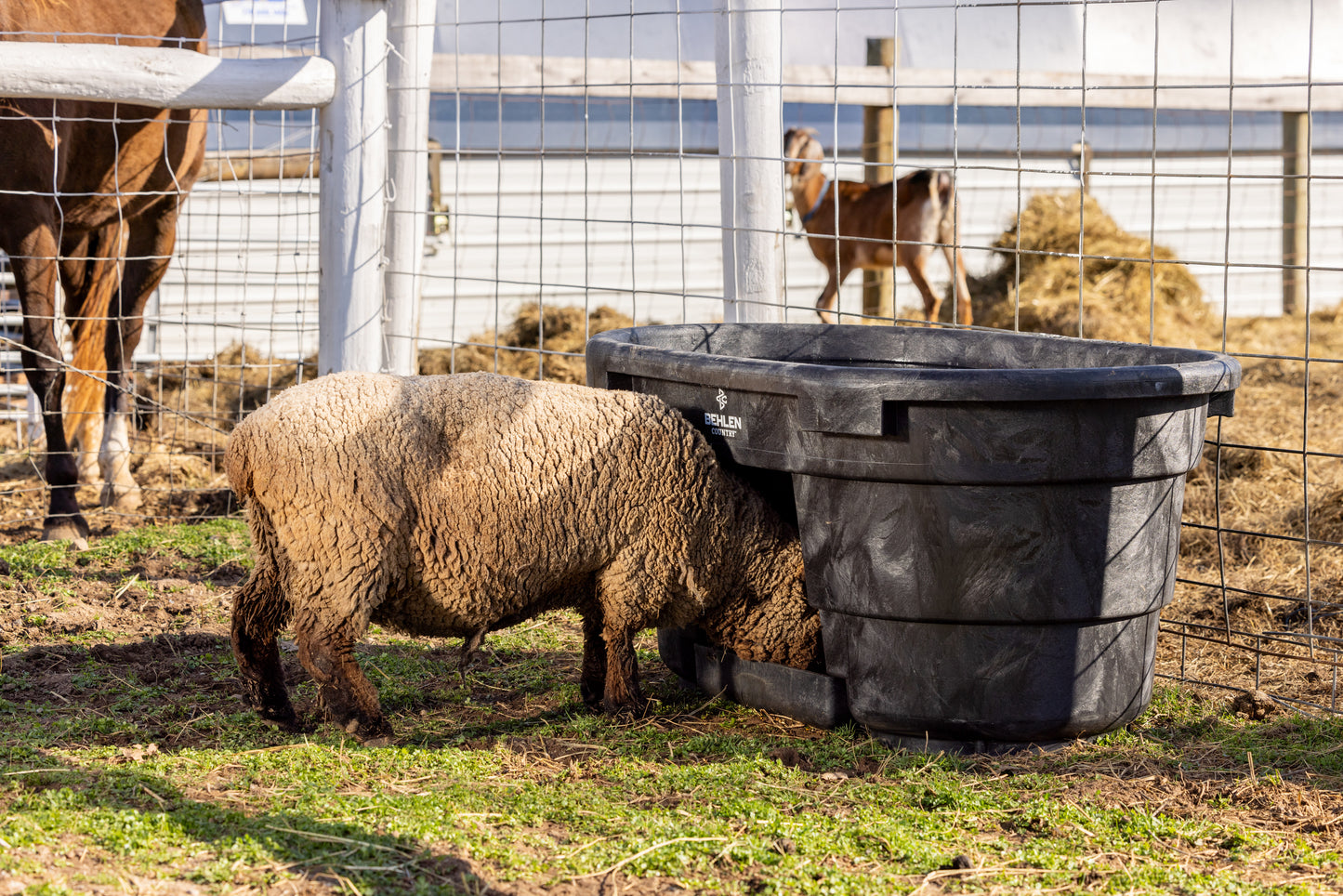 100 Gallon Behlen Country Rigid Poly Tank With Drinker (MPN: 52121015)