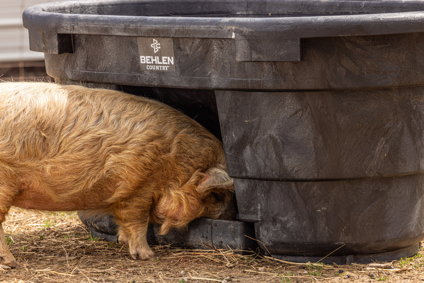100 Gallon Behlen Country Rigid Poly Tank With Drinker (MPN: 52121015)