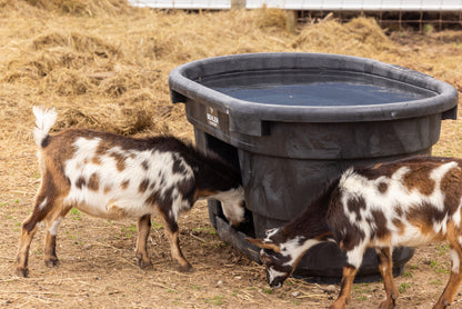 100 Gallon Behlen Country Rigid Poly Tank With Drinker (MPN: 52121015)