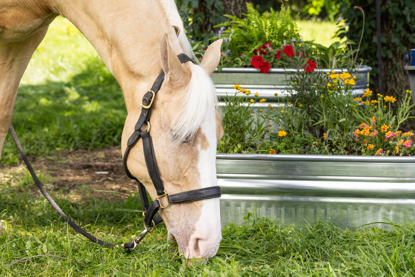 30 Gallon Behlen Country 40" x 34" x 12" Shallow Farmstead Triangle Stock Galvanized Tanks (MPN: 50140048)