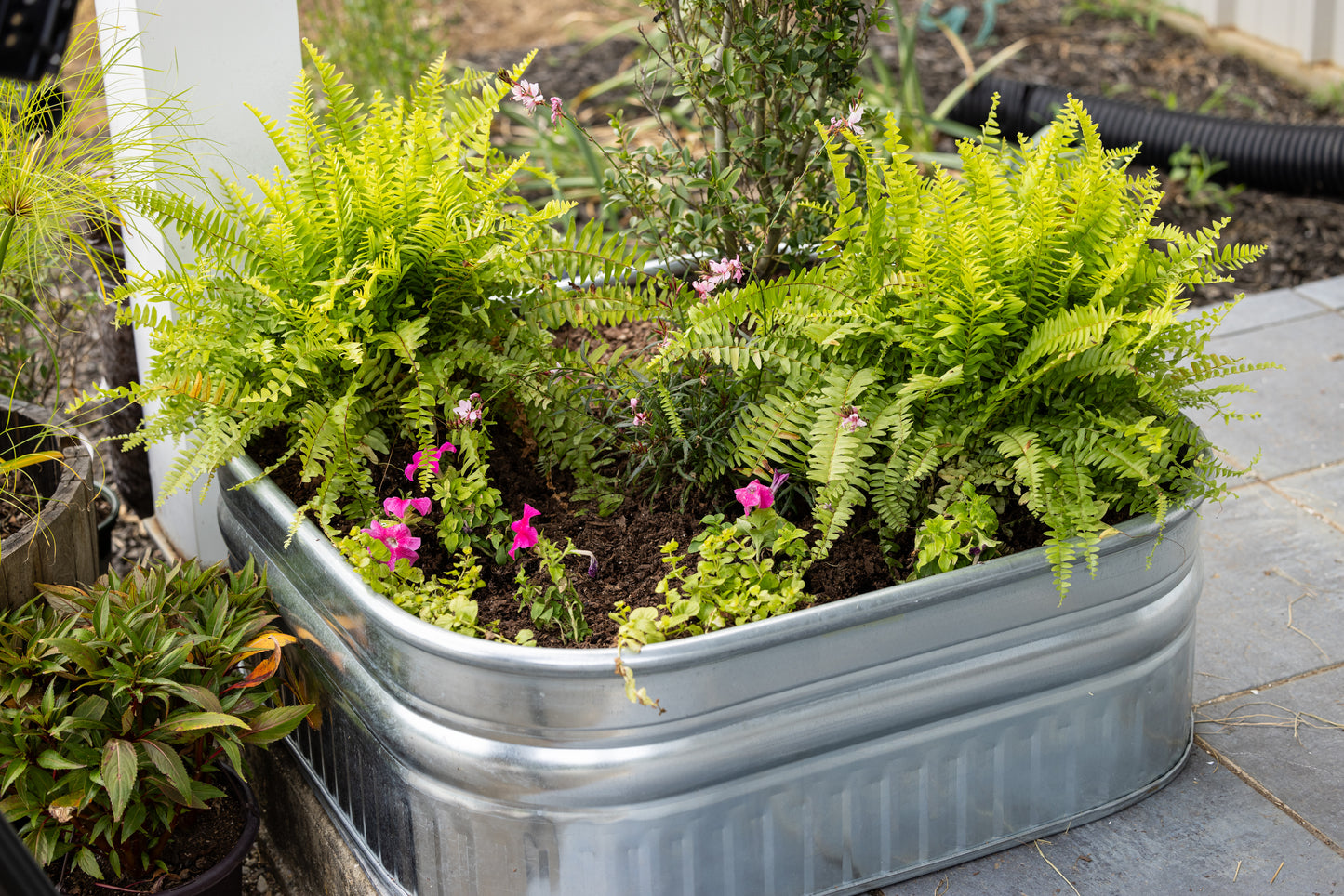 60 gallon Behlen Country 34" x 34" x 12" Shallow Farmstead Square Stock Galvanized Tanks (MPN: 50140078)