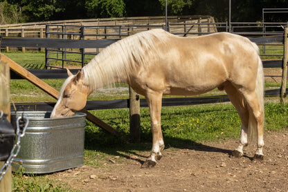 60 Gallon Behlen Country 40" x 34" x 24" Shallow Farmstead Triangle Stock Galvanized Tanks (MPN: 50140058)