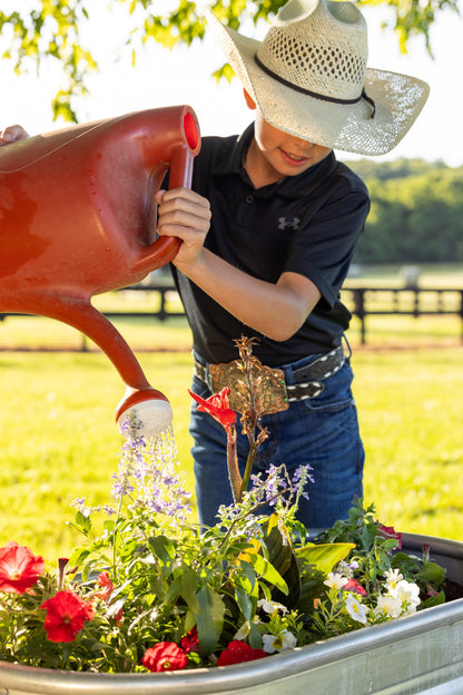 25 Gallon Behlen Country 18" x 35" x 24" Farmstead Utility Stock Galvanized Tanks (MPN: 50140018)