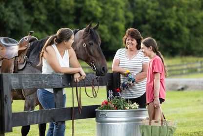 25 Gallon Behlen Country 18" x 35" x 24" Farmstead Utility Stock Galvanized Tanks (MPN: 50140018)