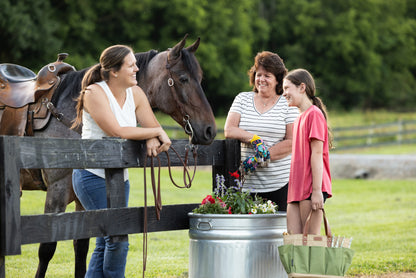 25 Gallon Behlen Country 18" x 35" x 24" Farmstead Utility Stock Galvanized Tanks (MPN: 50140018)