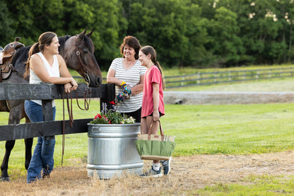 25 Gallon Behlen Country 18" x 35" x 24" Farmstead Utility Stock Galvanized Tanks (MPN: 50140018)