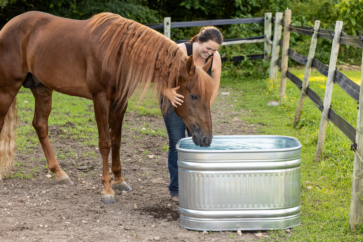 120 Gallon Behlen Country 34" x 34" x 24" Shallow Farmstead Square Stock Galvanized Tanks (MPN: 50140088)