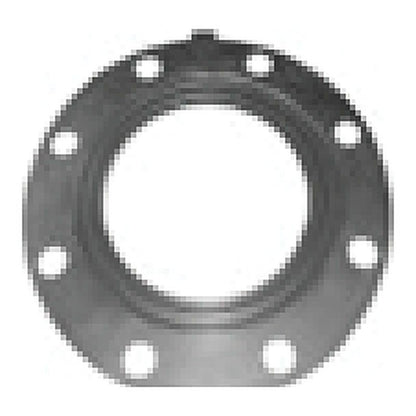 Peabody Engineering flange gasket