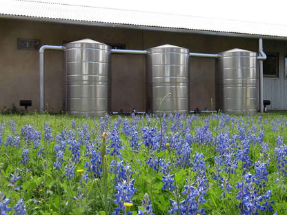Texas Metal Tanks stainless steel rainwater tank outside a building near a field of bluebonnets